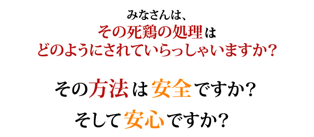 みなさんは、その死鶏の処理はどのようにされていらっしゃいますか？　そしてその方法は安全ですか？