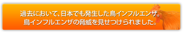 以前、日本でも発生した鳥インフルエンザ。鳥インフルエンザの脅威を見せつけられました。