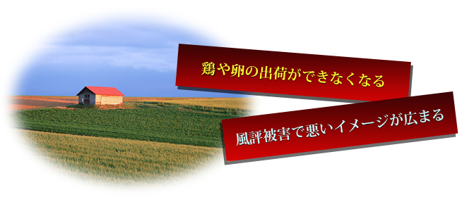 鳥や卵の出荷ができなくなり、風評被害が広がる