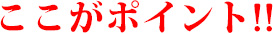 ここがポイント！！