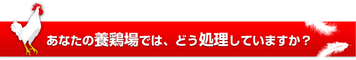 あなたの養鶏場では、どう処理していますか？