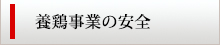 養鶏事業の安全
