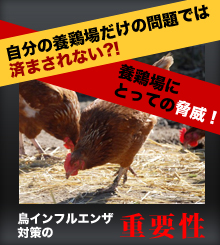 鳥印インフルエンザ対策の重要性
