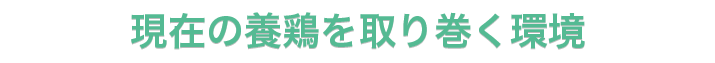現在の養鶏を取り巻く環境