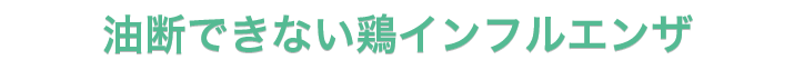 油断できない鶏インフルエンザ