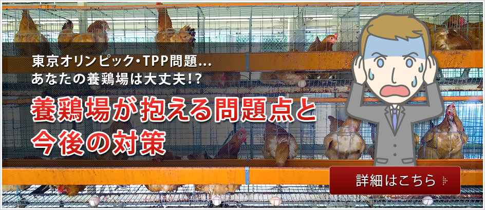 養鶏場が抱える問題点と今後の対策